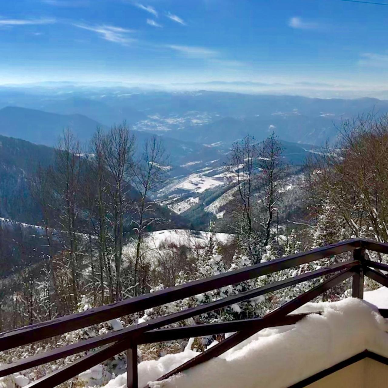 Apartman D52 Dvori Kopaonik Eksteriør billede