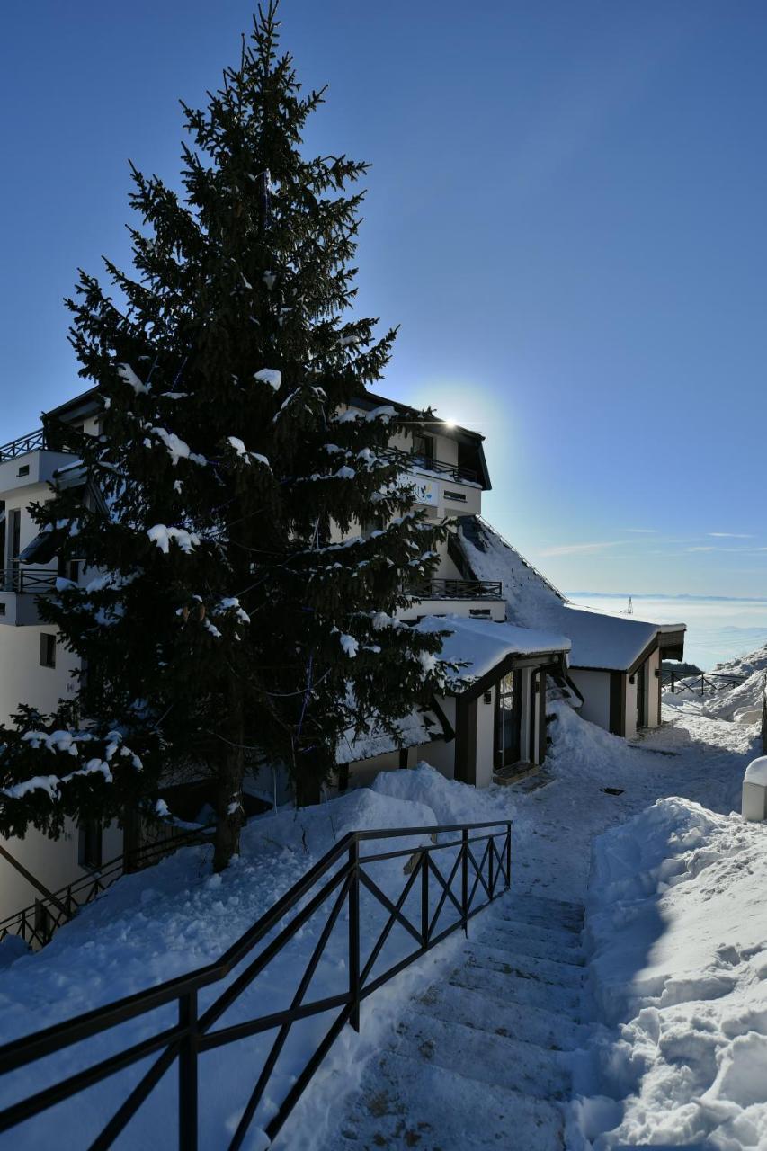Apartman D52 Dvori Kopaonik Eksteriør billede